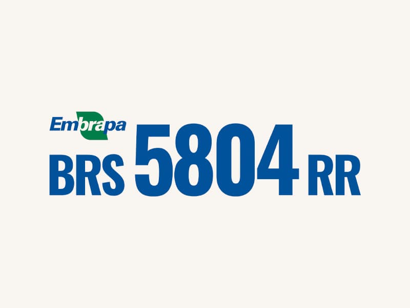 BRS 5804 RR