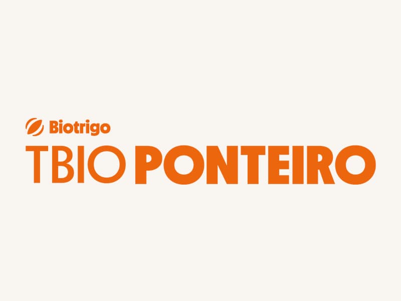 TBIO Ponteiro